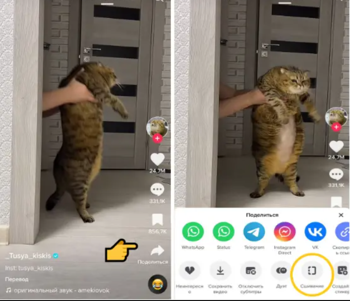 Tik-Tok условно бесплатный трафик или как заливать УБТ через Тик-Ток в 2023 году?