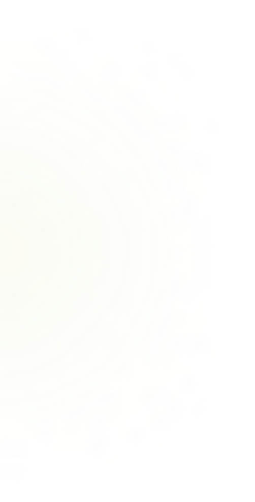 Ellipse 19