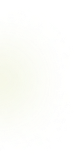 Ellipse 20